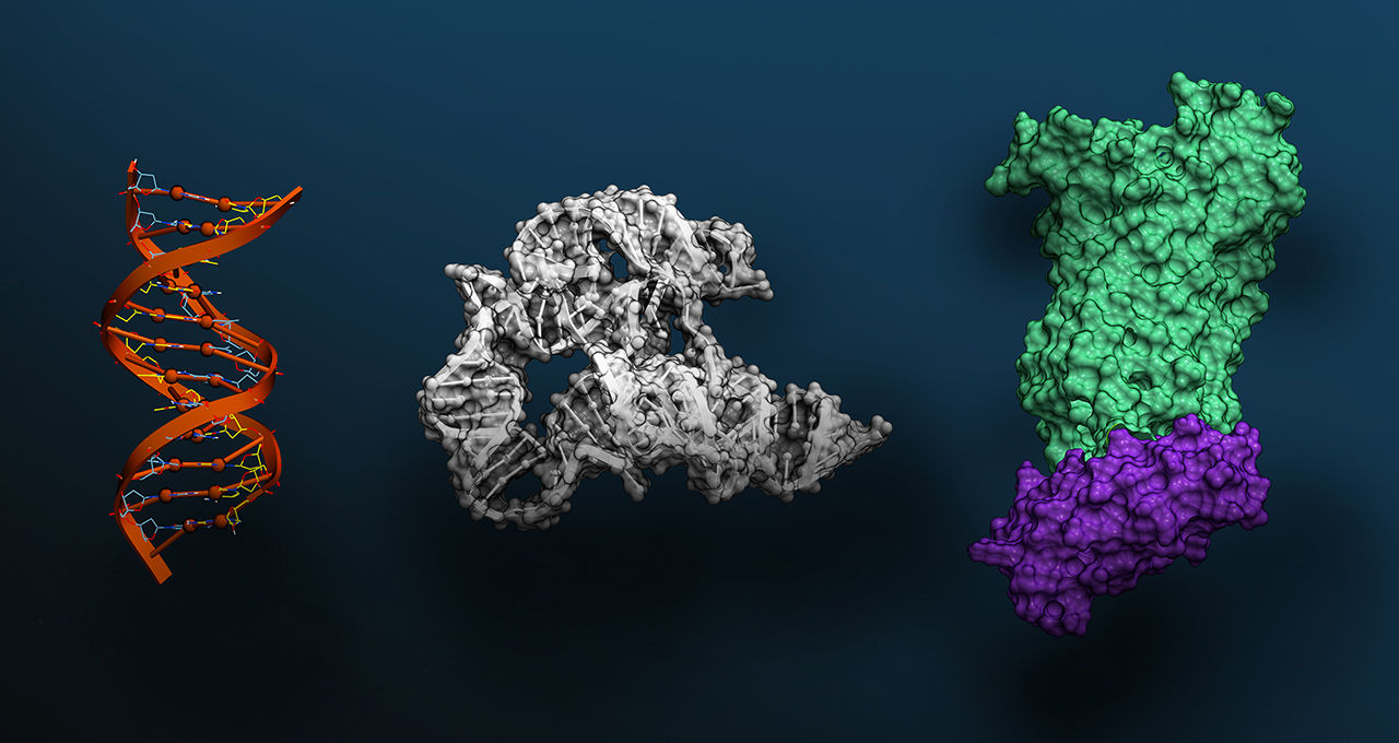 Massive Foundation Model for Biomolecular Sciences Now Available via NVIDIA BioNeMo