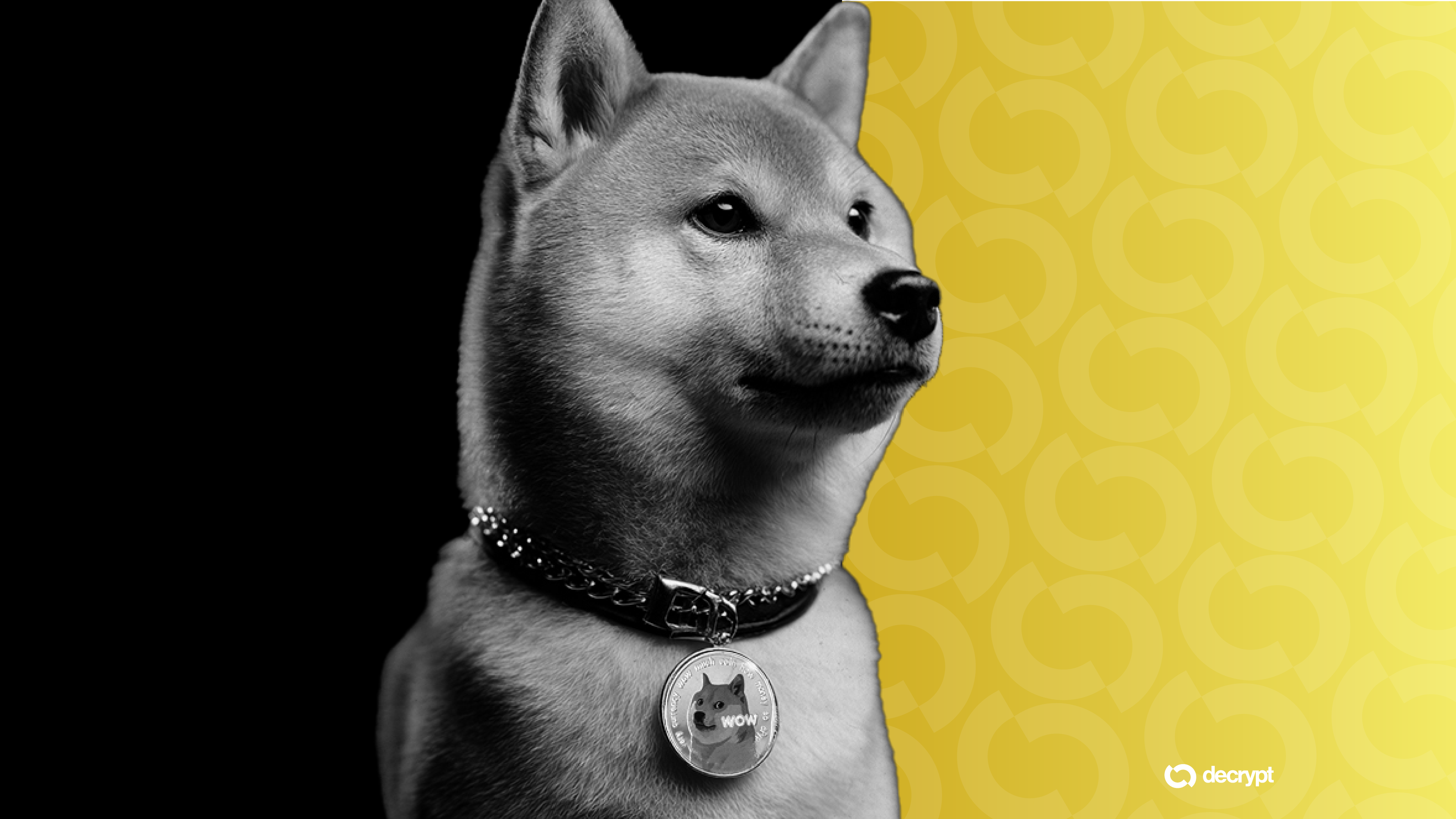 Dogecoin Foundation, MoonPay Team to Donate 1 Million DOGE to Dog Charity — image 2