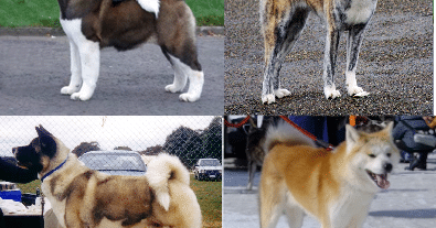 Ken Sizor eliminates BIG from IEM Cologne with ace as esports and crypto worlds remain separate lanes