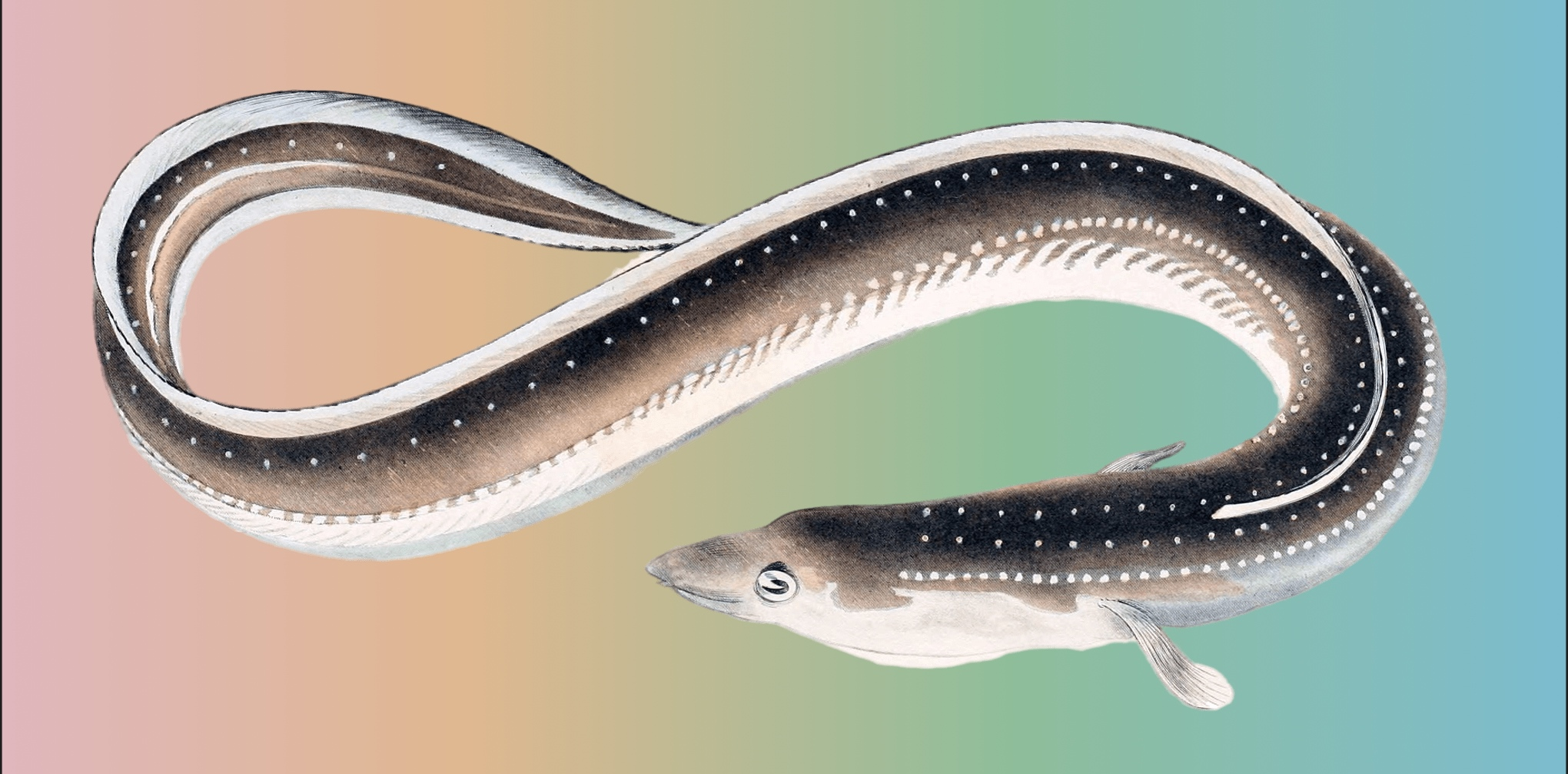 Ethereum Execution Layer Specification