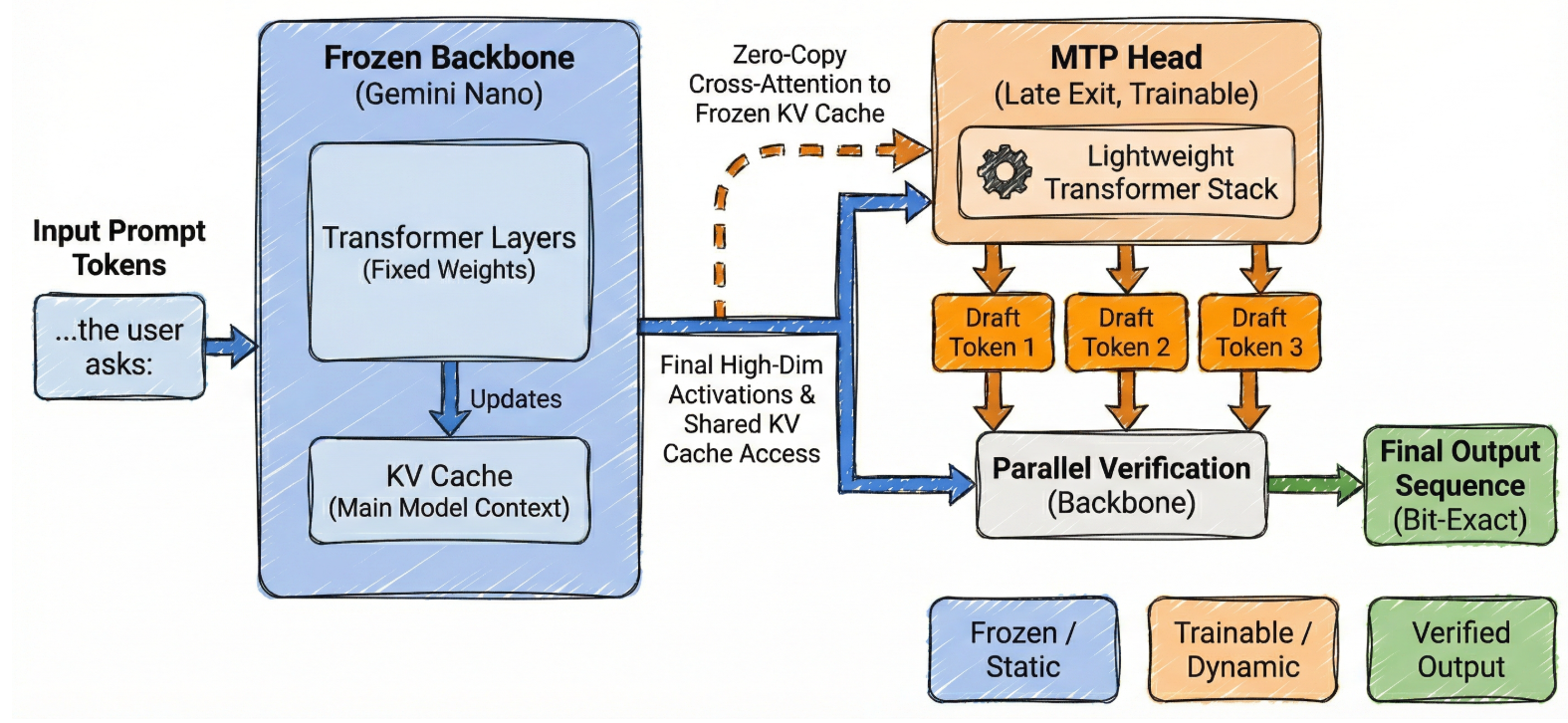 Accelerating Gemini Nano models on Pixel with frozen Multi-Token Prediction
