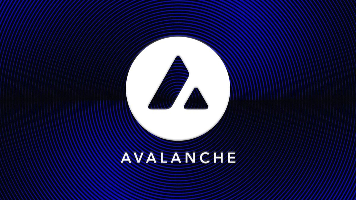 Avalanche’s Nahas: Token prices are down, but ‘I’ve never seen more opportunities’ in crypto