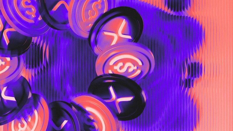 The Largest Stablecoins Ranked
