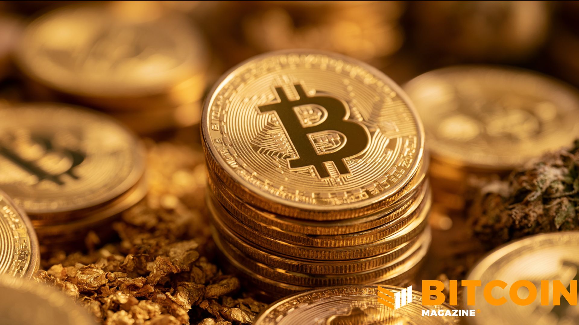 Edelman Financial, Tudor Investment Reveal Significant Bitcoin Holdings