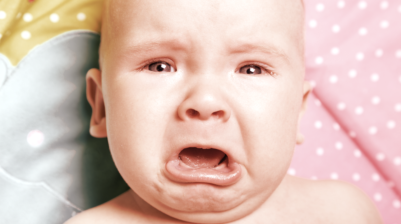 AI Enthusiast Bugs His Toddler's Sleepover and Feeds It to Claude—The Internet Bugs Back — image 2