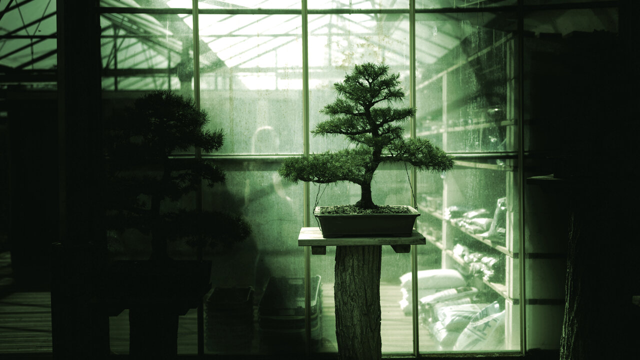 Meet Bonsai: The First 27B AI Model That Fits on Your Phone — image 2
