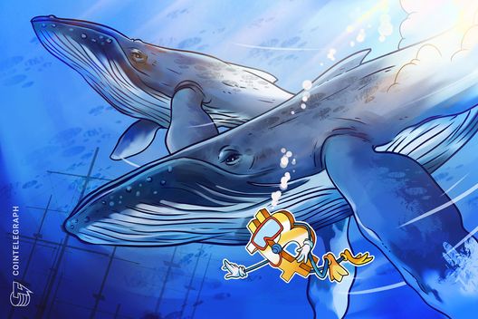 Hyperliquid whale opens $53M Bitcoin short: Should traders take notice?