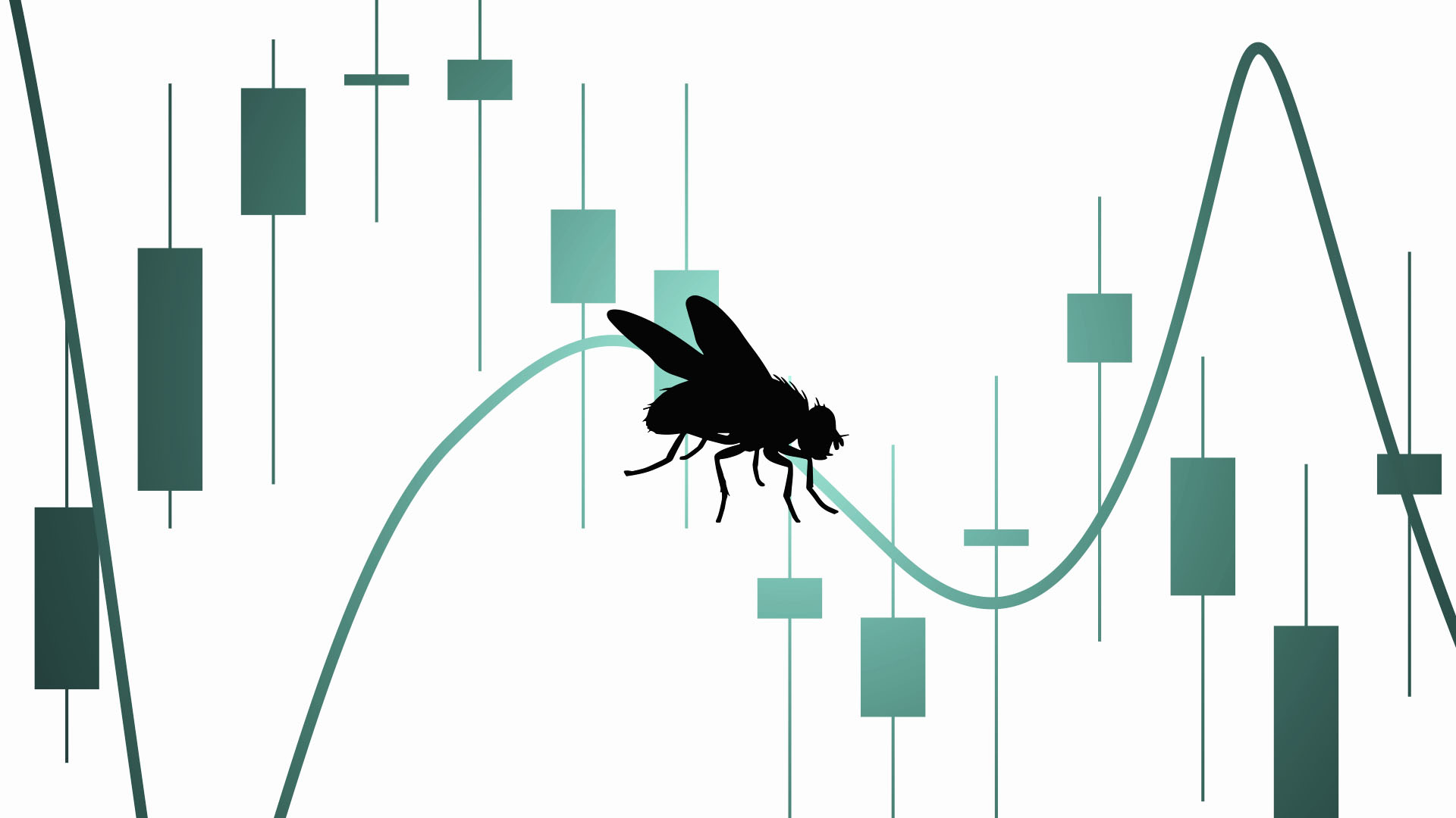 A ‘fly’ is now trading crypto and is only down 1%