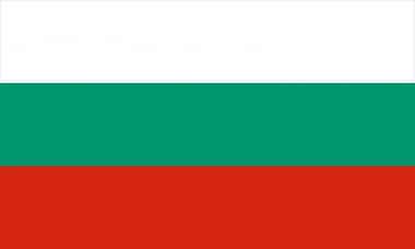 Bulgaria to hold eighth election since 2021 as Radev eyes prime minister role