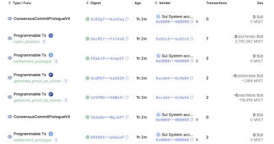 SUI mainnet resumes normal operations after validator fix