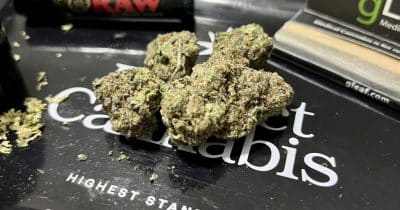 Trulieve becomes first major US cannabis operator to list on NYSE