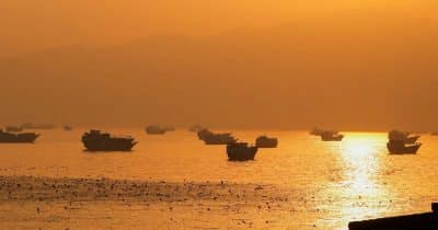 Brent crude falls below $80 as traders expect Strait of Hormuz flows to resume
