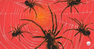 Scattered Spider member extradited to US from Finland, DOJ says