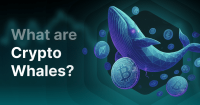 Lighter and Mantle networks see surge in whale activity as altcoin volatility rises