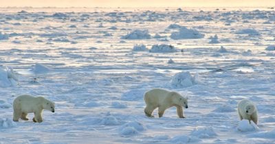 Canada warns of advancing Russian threat in Arctic