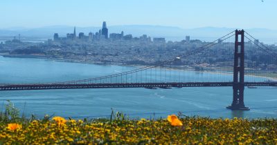 Redfin estimates OpenAI and Anthropic employees could buy 29% of San Francisco homes with IPO equity