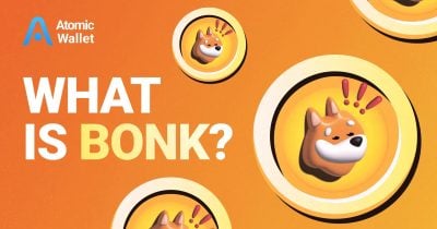 BonkDAO’s $20M treasury drained after attacker spends $4.4M on BONK tokens to hijack governance vote