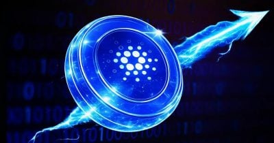 Cardano key stakeholder holdings hit 3.5-year high as whales accumulate