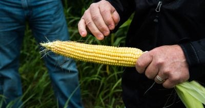 US tariffs on wood, machinery, and corn ethanol set to reshape trade landscape this month
