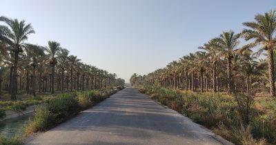 US airstrikes hit Iran’s Bushehr port city as crypto markets barely flinch
