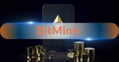 Bitmine slows Ethereum purchases, adds 7,430 ether worth $14M as it nears 5% supply target