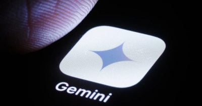 Google builds custom AI chip for Gemini as investors react