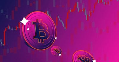 Spot Bitcoin ETFs pull in $517M in a single day as crypto market finds its footing