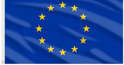 Europe offers subsidies to local AI players amid global boom