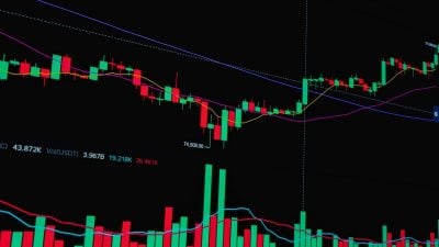 Bitwise, VanEck, and Grayscale stake millions of AVAX through new spot funds