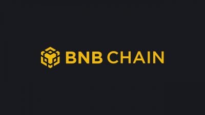 BNB Chain prioritizes sustainable business models over gas fee cuts