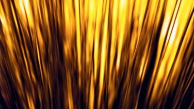 Gold gains as US dollar eases ahead of critical inflation data