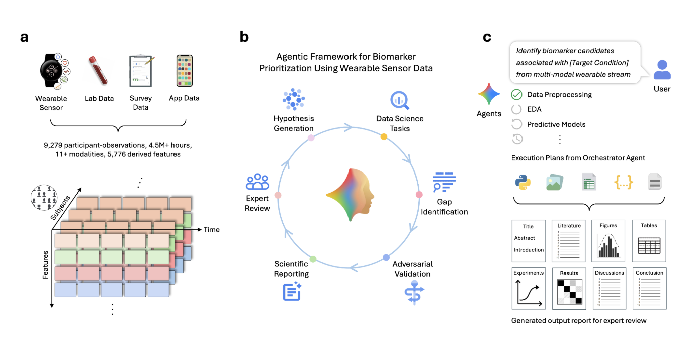An AI tool for prioritizing candidate biomarkers from wearable sensor data