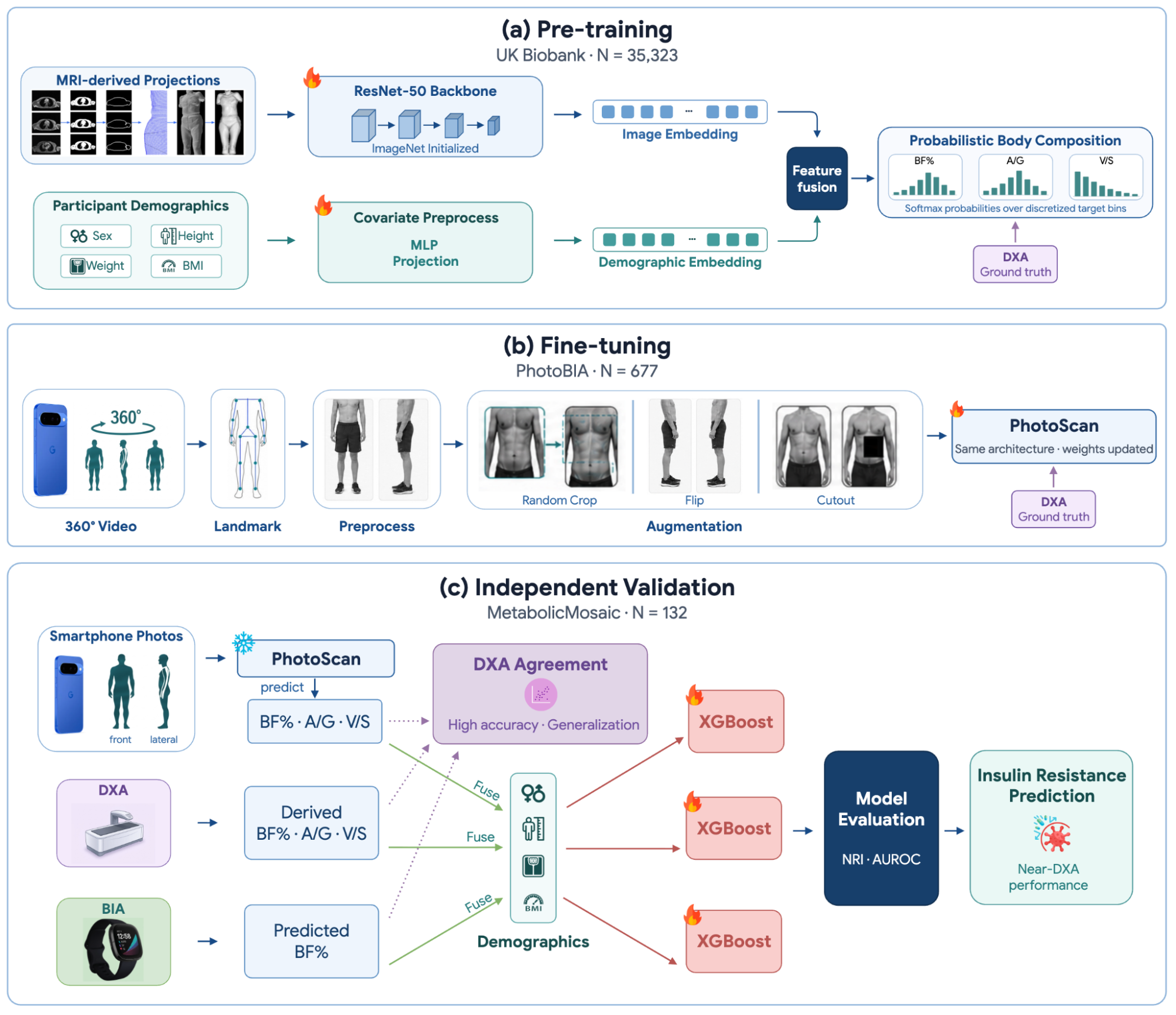 Seeing beyond BMI: Estimating cardiometabolic risk with smartphone imagery