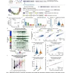 Meet MaxToki: The AI That Predicts How Your Cells Age — and What to Do About It — image 2