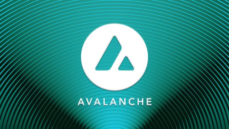 Avalanche Treasury shares fall 38% on Nasdaq debut after $675 million merger
