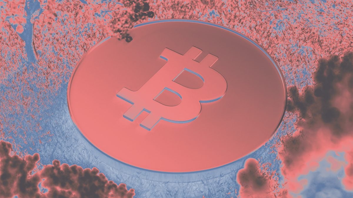 Spot bitcoin ETFs report $517 million in net inflows, largest in 3.5 months